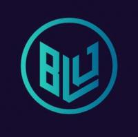 Blu Digital Solutions Logo