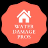 Flood Recovery Logo