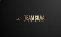 Team Silva logo