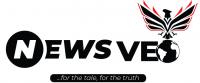 News VEO logo