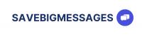 Save Big Messages LLC Logo