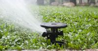 Affordable Irrigation Repair & Service LLC Logo