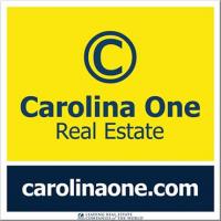 Carolina One Real Estate Logo