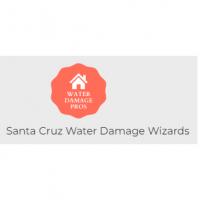 Santa Cruz Water Damage Wizards Logo