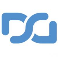 Dynamic Solutions Group Inc Logo