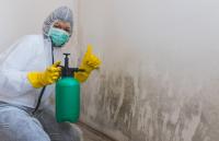 Mold Solutions of Colorado Springs Logo