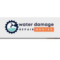 Ducktown Water Damage Solutions Logo