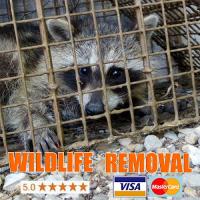 Wildlife Removal Melbourne Logo
