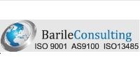 Barile Consulting Services, LLC Logo