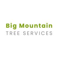 Big Mountain Tree Service logo