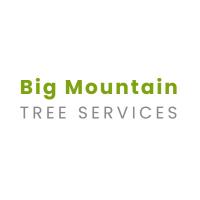 Big Mountain Tree Service Logo