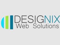 Designix Web Solutions Logo
