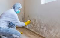 Mold Experts of the Bronx Logo