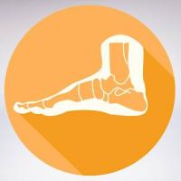 Nilssen Orthopedics - Ankle and Foot Center Logo