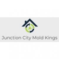 Junction City Mold Kings Logo