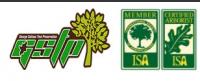Citrus Heights Tree Service Experts Logo
