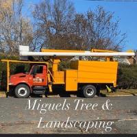 Miguels Tree & Landscaping logo