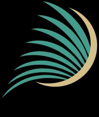 Panama City Snorkeling Dolphin Tours Logo