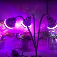 Smart LED Lighting Logo