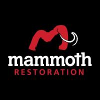 Mammoth Restoration | Kingman Branch logo