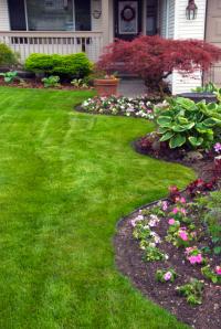 General Landscaping Logo