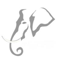 Ivory Dental Aesthetics Logo