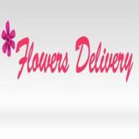 Same Day Flower Delivery Chicago IL - Send Flowers Logo