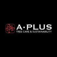 A Plus Tree, LLC Logo