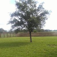 Hernandez Landscaping Logo