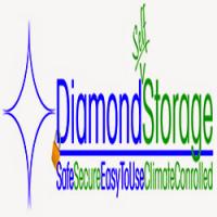 Diamond Storage Logo