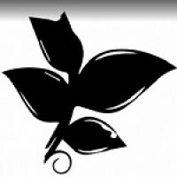 Lee's Summit Retreat Hair Salon & Spa Logo