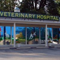Veterinary Associates Stonefield logo