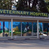 Veterinary Associates Stonefield Logo