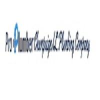 Pro Plumber Champaign IL Plumbing Company Logo