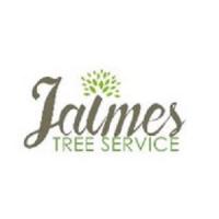 Jaimes Tree Service Logo