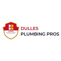 Dulles Plumbing, Drain and Rooter Pros Logo