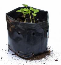 Weber's Landscape and Lawn Services Logo