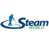 Steam World Of Springfield Logo