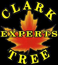 Clark Tree Experts logo