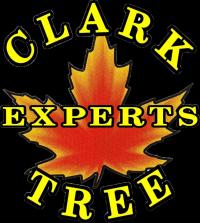 Clark Tree Experts Logo