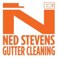 Ned Stevens Logo