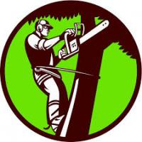 Tree Service Provide Logo