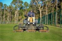 Southern Palmetto Landscape Logo
