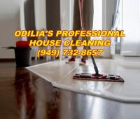 Odilia’s Professional House Cleaning Logo