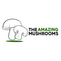 The Amazing Mushroom logo