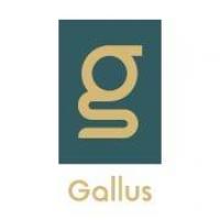 Gallus Medical Detox Centers - Phoenix Logo