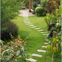 Swain Landscaping LLC Logo