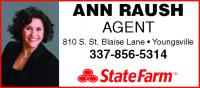 Ann Raush State Farm Logo