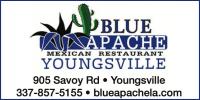 Blue Apache Logo