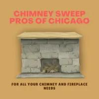 Chicago Chimney Sweep Pros Logo